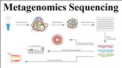 글로벌 메타게놈 시퀀싱 시장