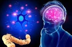 Global Neurodegenerative Disease Market