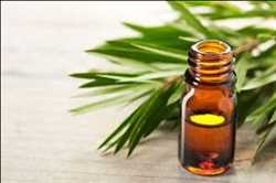 Global Tea Tree Oil Market