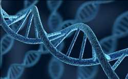 글로벌 DNA 및 RNA 뱅킹 서비스 시장