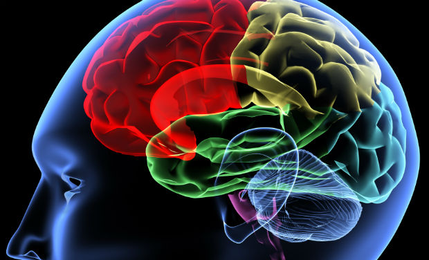 연구원들은 결정을 내리는 데 도움이 되는 뇌 영역을 발견했습니다.