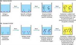 글로벌 효소 면역 분석법 시장 전망