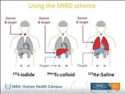 글로벌 핵의학 및 방사선 의약품 시장 성장