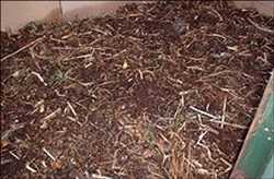 글로벌 Vermicompost, Vermicast 및 벌레 차 시장 통찰력