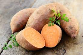 감자 단백질 시장