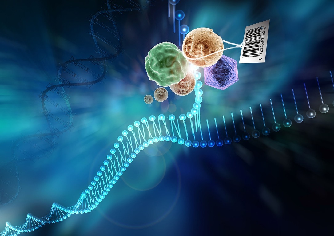 RNA 기반 치료제 시장