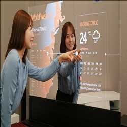 글로벌 스마트 미러 시장 사실