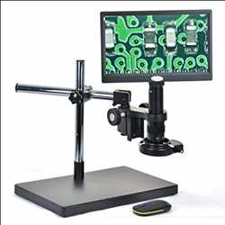 글로벌 비디오 현미경 시장의 SWOT 분석