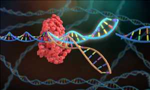 글로벌CRISPR 및 CRISPR 관련(Cas) 유전자 시장 규모