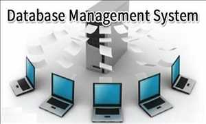 글로벌데이터베이스 관리 시스템(DBMS) 시장 전망