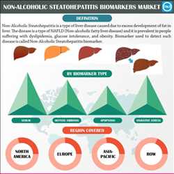 글로벌비알코올성 지방간염 바이오마커 시장 규모