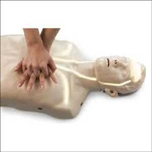CPR 교육 마네킹 Market