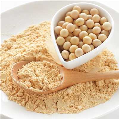 콩 단백질 성분 Market