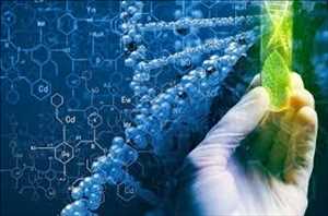 생명 공학 및 제약 시장 통찰력의 글로벌 나노 입자