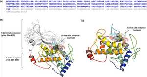 세계적인 Tyrosinase 시장 미래 범위