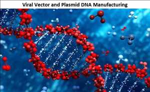 글로벌바이러스 벡터 및 플라스미드 DNA 제조 시장 가격 분석